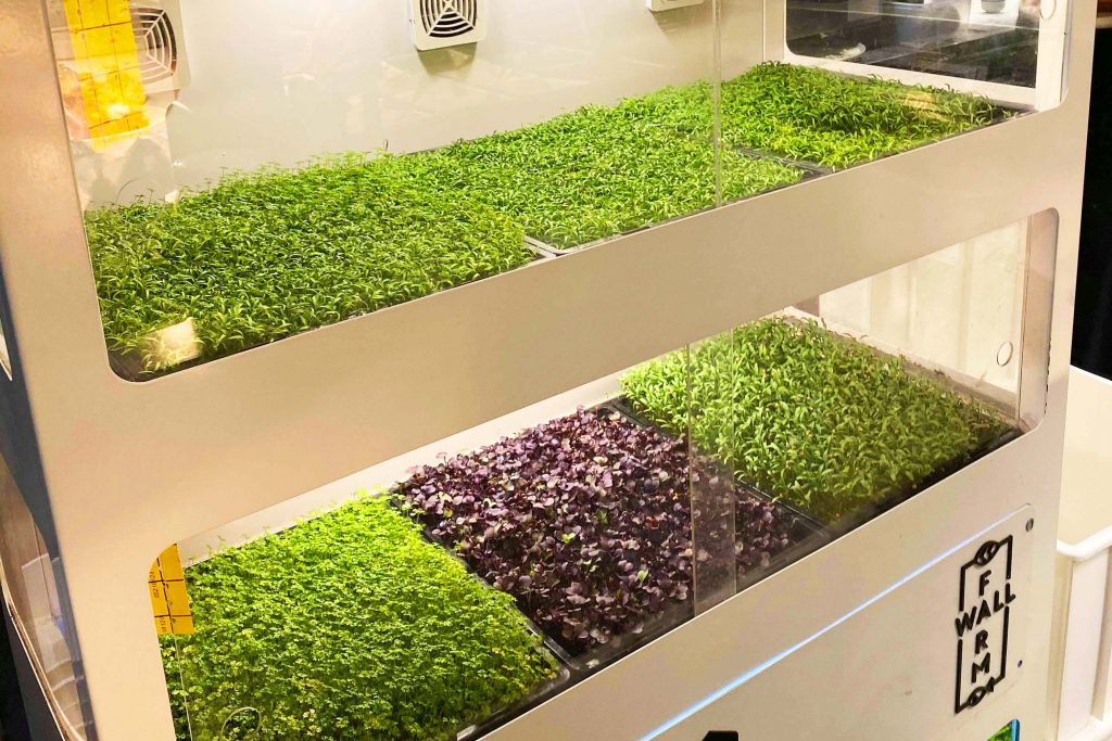 澳洲墨爾本時尚早餐-Higher Ground