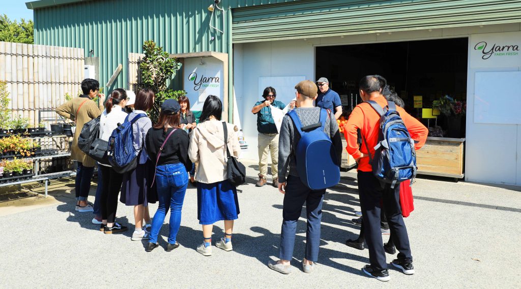 葡萄酒的故鄉亞拉河谷品酒美食之旅 