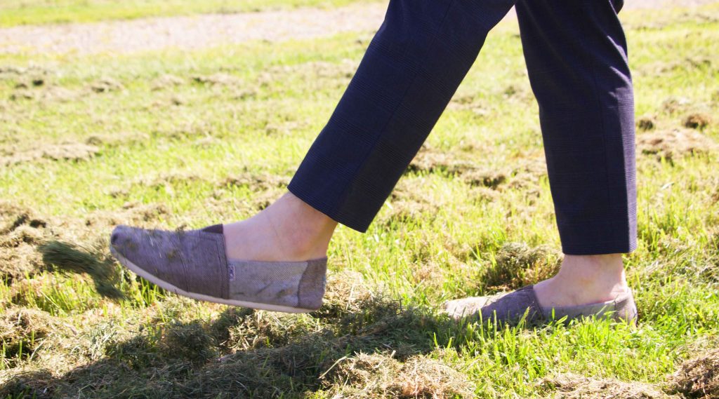 葡萄酒的故鄉 亞拉河谷品酒美食之旅 