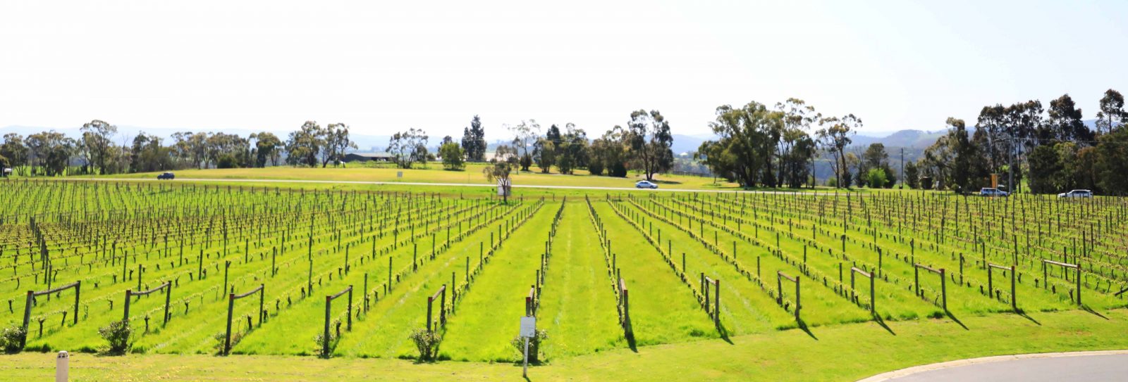 澳洲墨爾本｜Yara Valley 品酒美食之旅