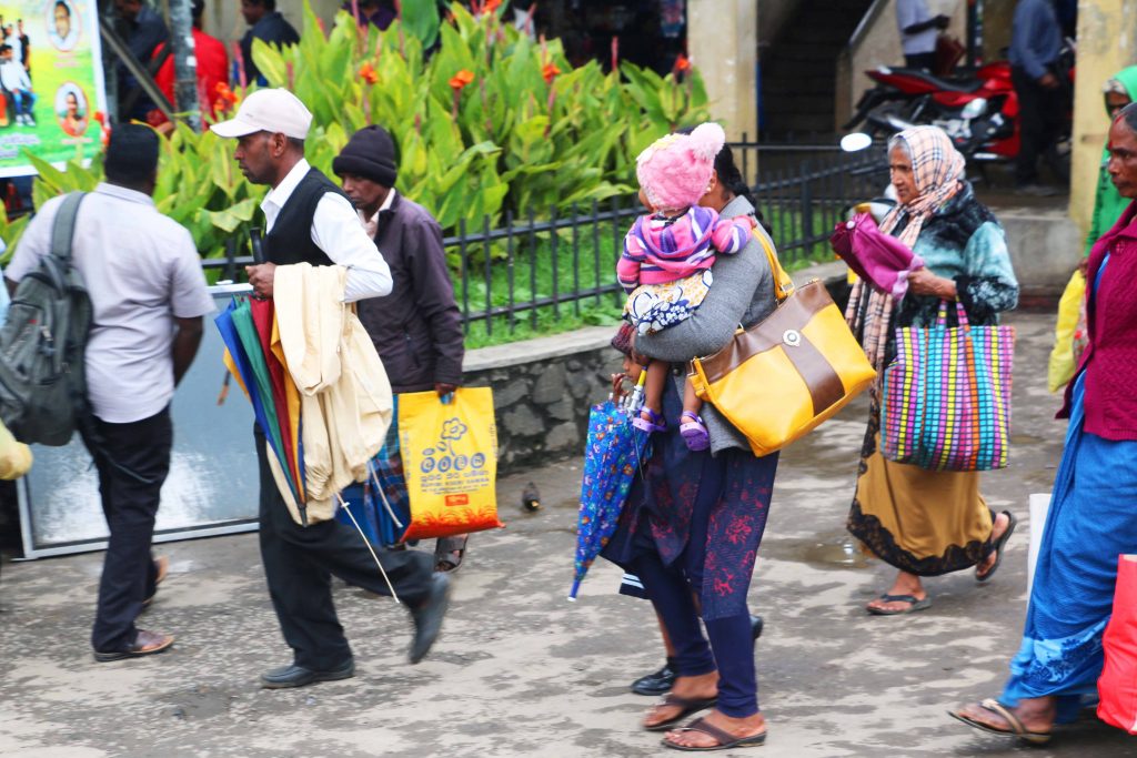 斯里蘭卡 努沃勒埃利耶
