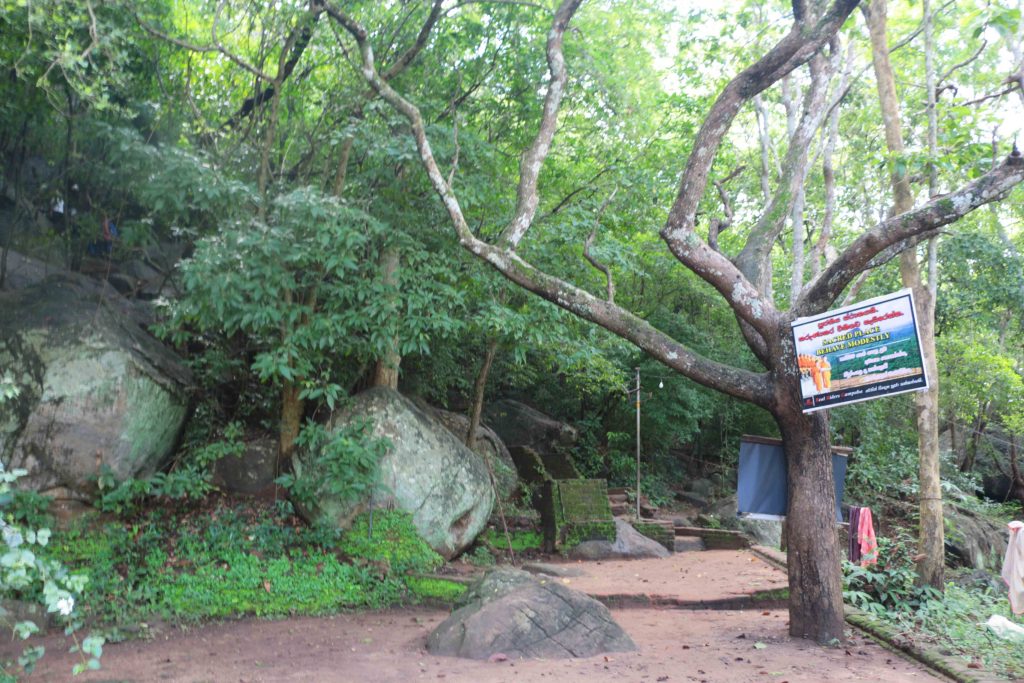 斯里蘭卡 獅子岩