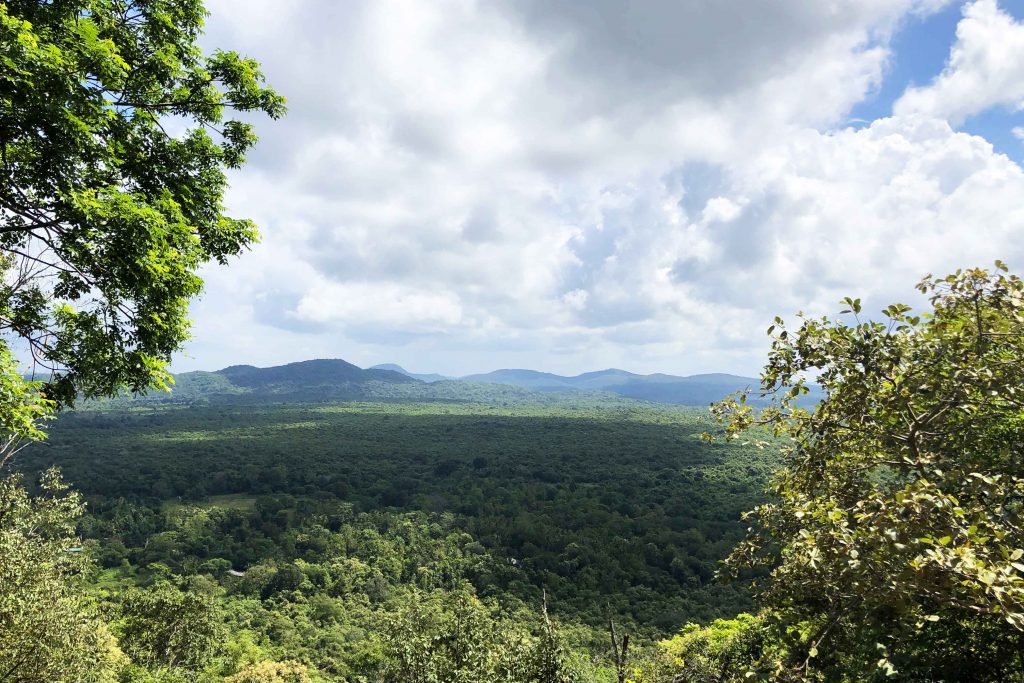 斯里蘭卡 獅子岩