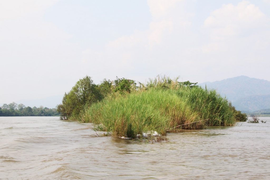 清邁 泰國金三角