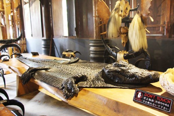 泰國清邁＿金三角 46