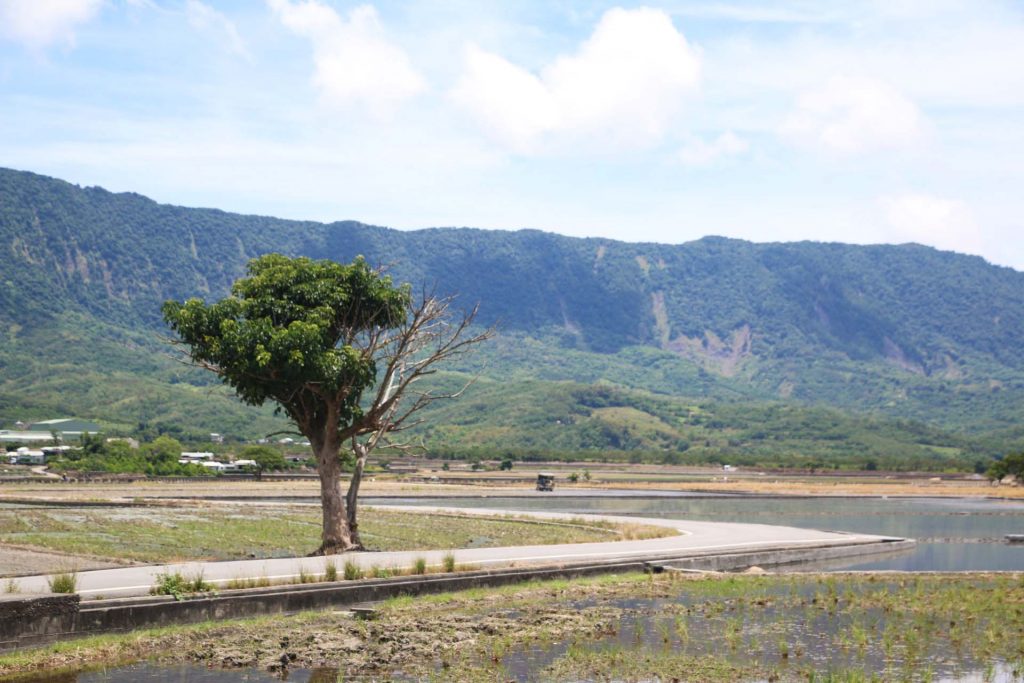 台東 熱氣球嘉年華