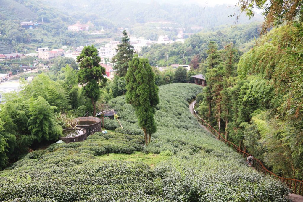 嘉義民雄 嘉義梅山