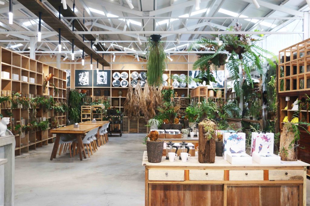 嘉義民雄 嘉義梅山