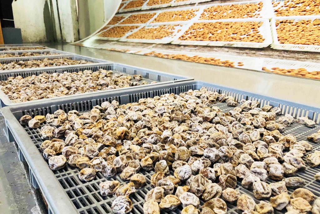 嘉義民雄 嘉義梅山