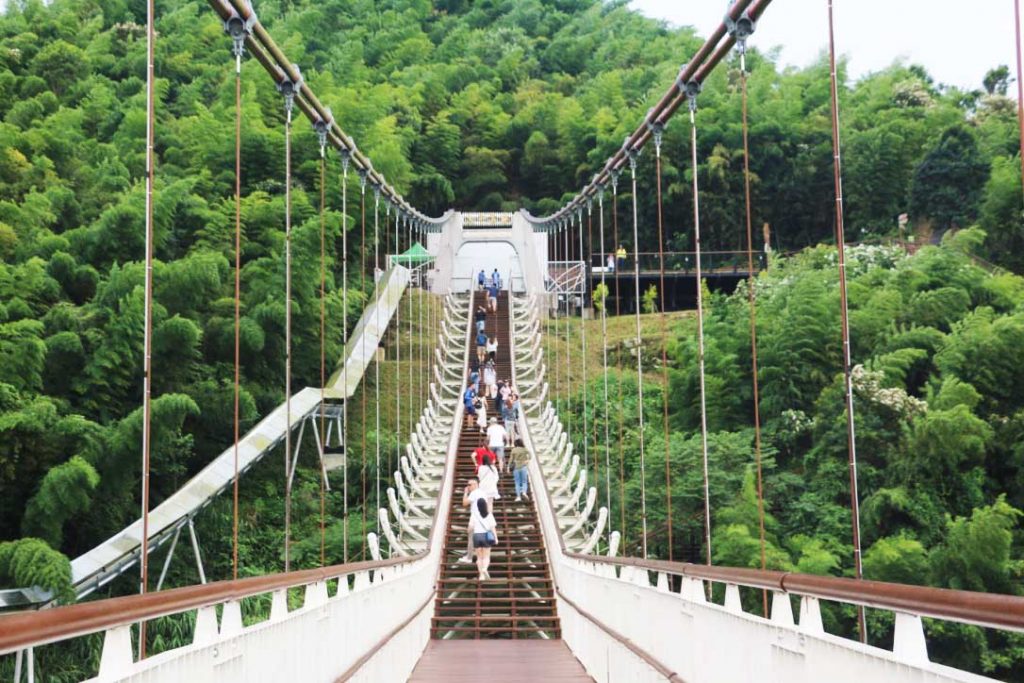 嘉義民雄 嘉義梅山