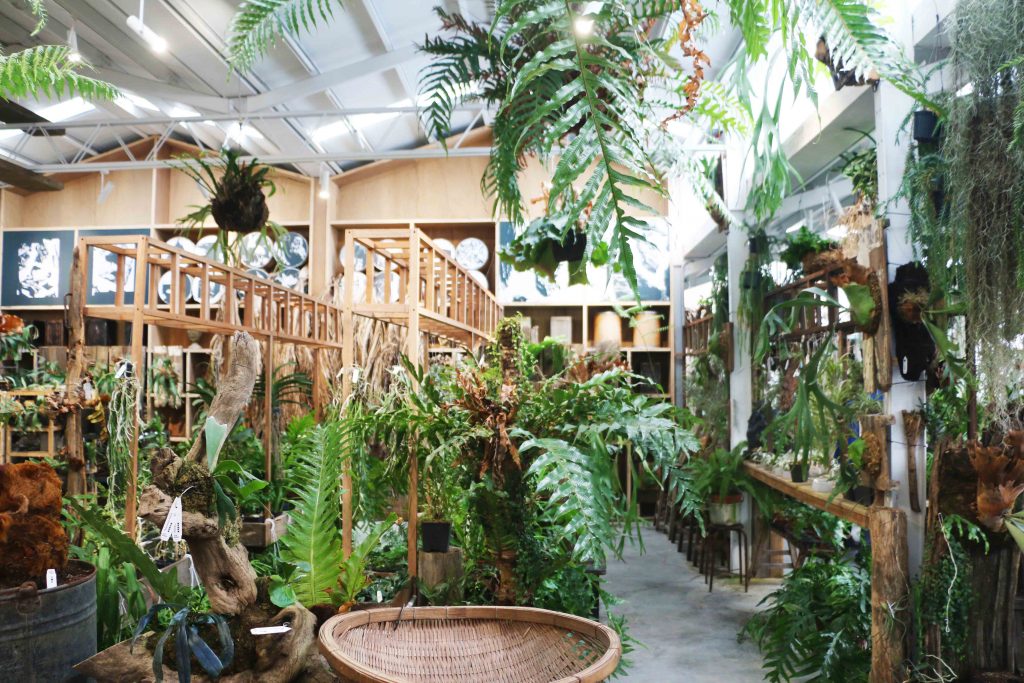 嘉義民雄 嘉義梅山