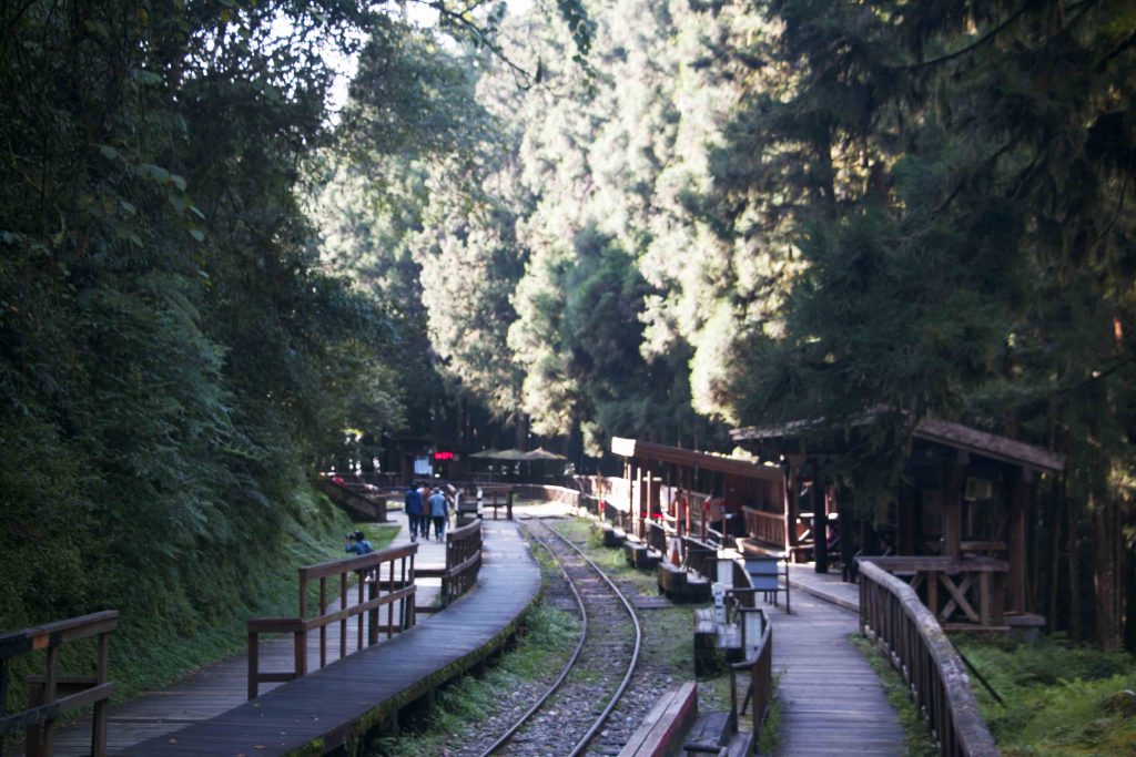 嘉義 阿里山