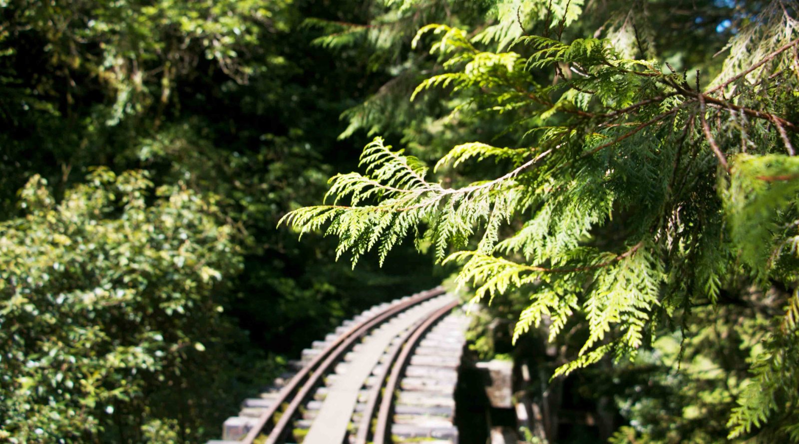 單攻眠月線 走訪失落秘境