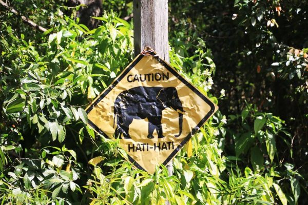 墨爾本動物園_58