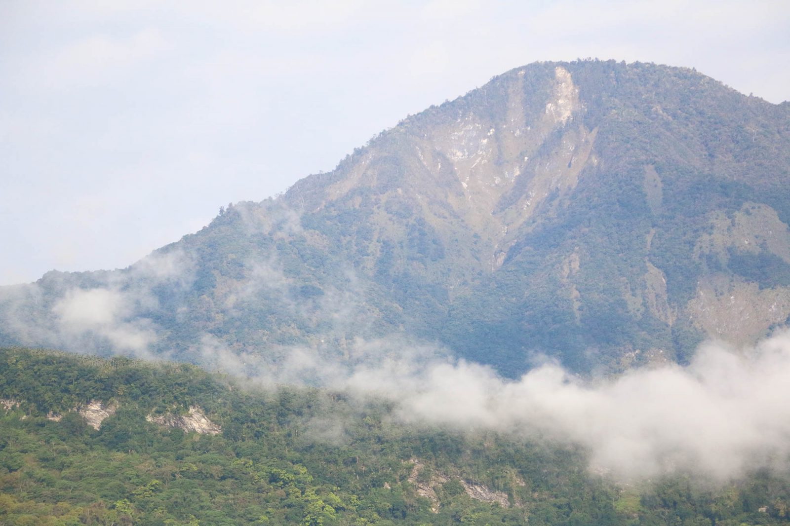 花蓮壽豐民宿 依山午（afternoon resort）